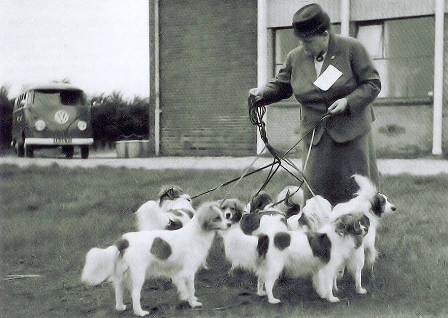 Baroness and her pack, circa late 1950s, exact date unknown