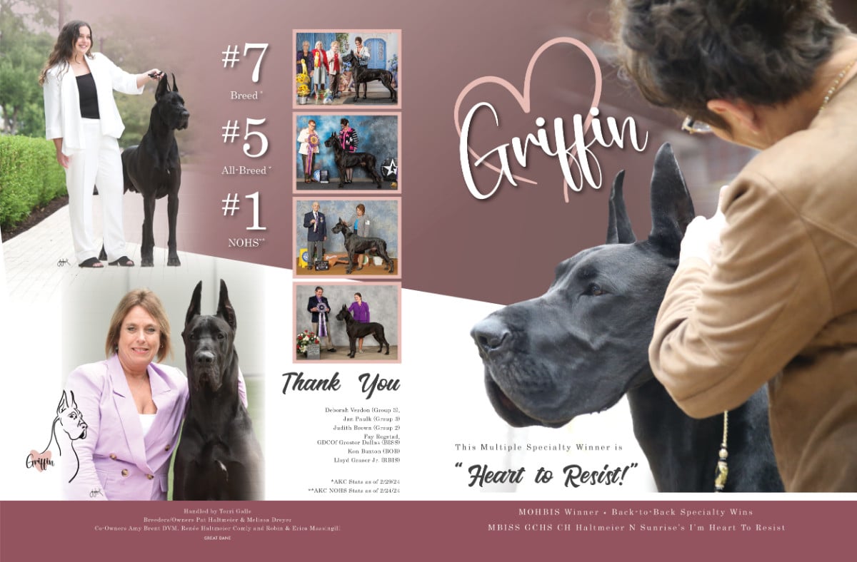 Showsight Magazine Dog Shows & Show Dogs News & Info