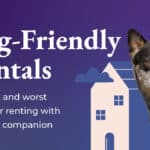 Dog-Friendly Rentals