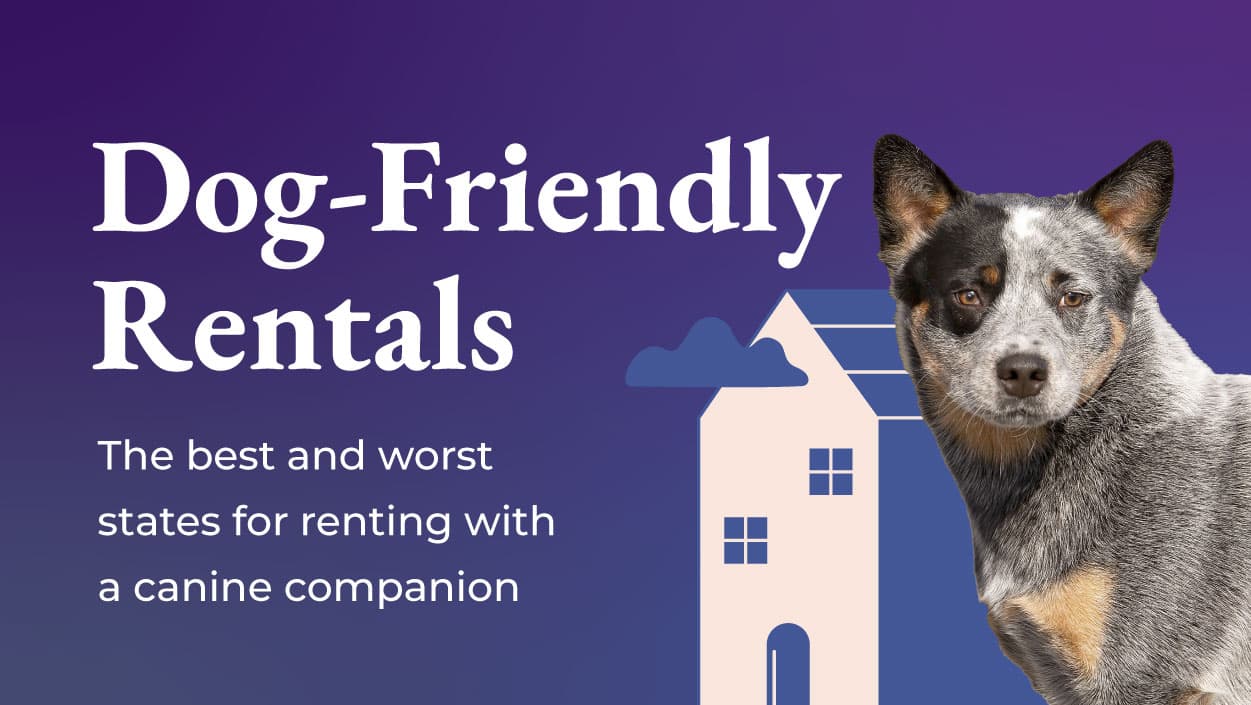 Dog-Friendly Rentals