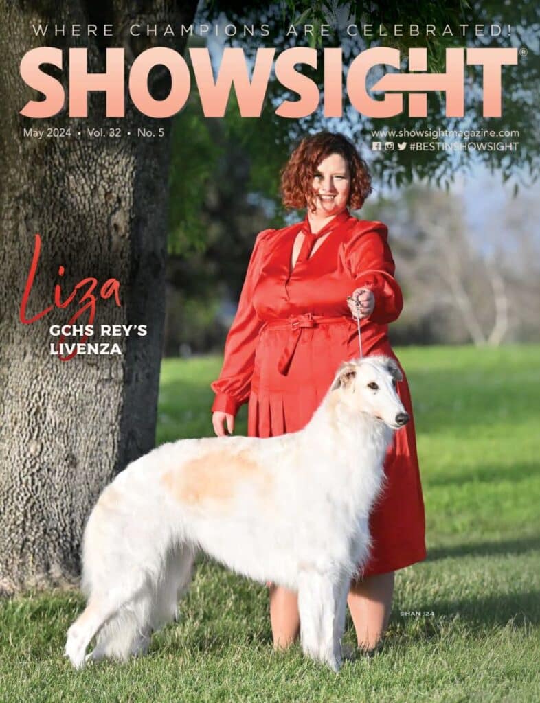 Three Purebred Dogs That Are Alternatives to Doodles – Showsight Magazine