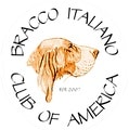 Picture of Bracco Italiano Club of America