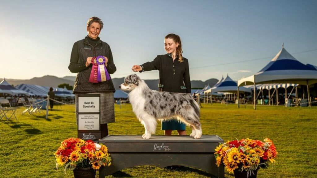 Bailey Crader with her Australian Shepherd at a dog show