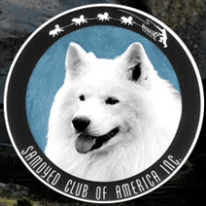 Picture of Samoyed Club Of America