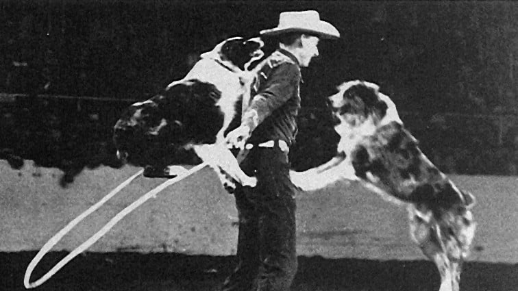 Stub, Shorty and Jay Sisler jump rope at the National Western Stockdog Show, Denver, 1954.
