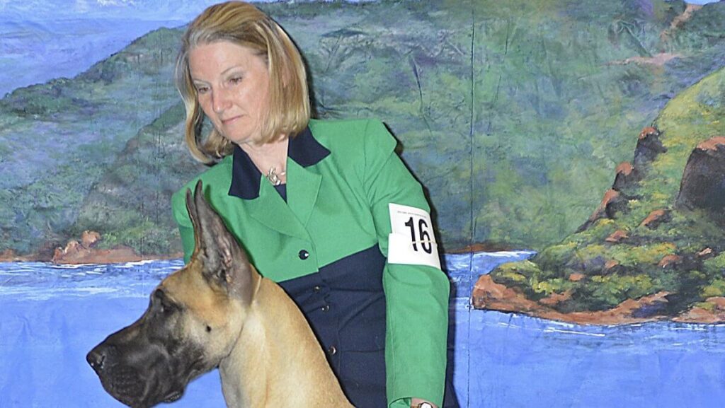 Katie Edwards, breeder of Laurado Kennels Great Danes