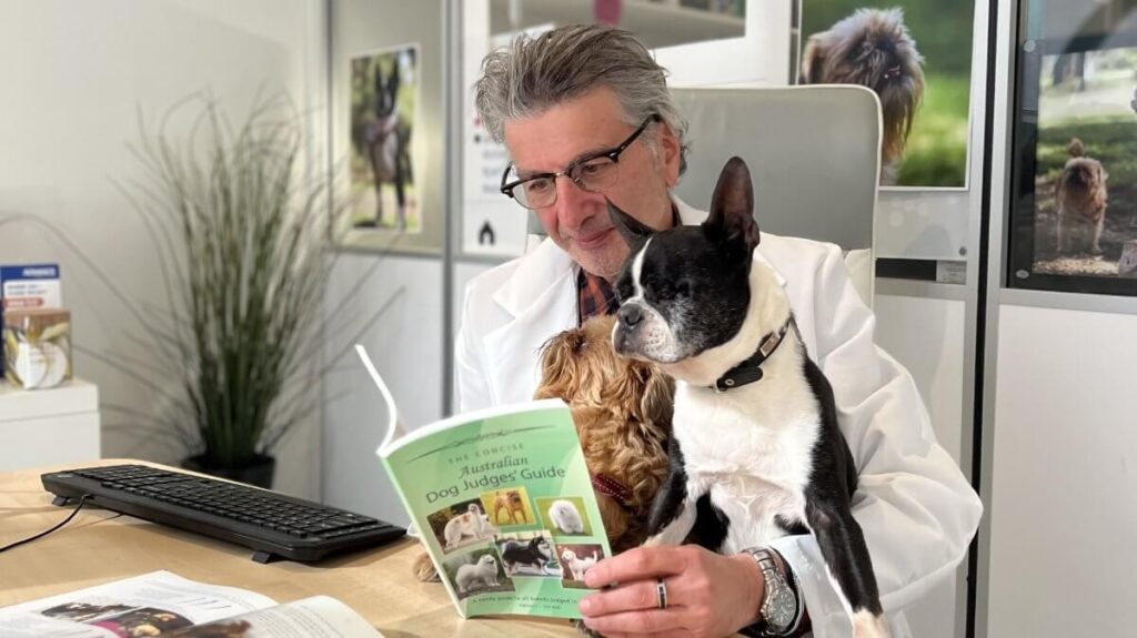 George Sofronidis accompanied by Charlie, the Boston Terrier, and Mary, the Brussels Griffon.