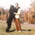Sylvia Hammarstrom with a Giant Schnauzer