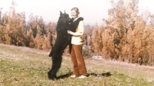 Sylvia Hammarstrom with a Giant Schnauzer