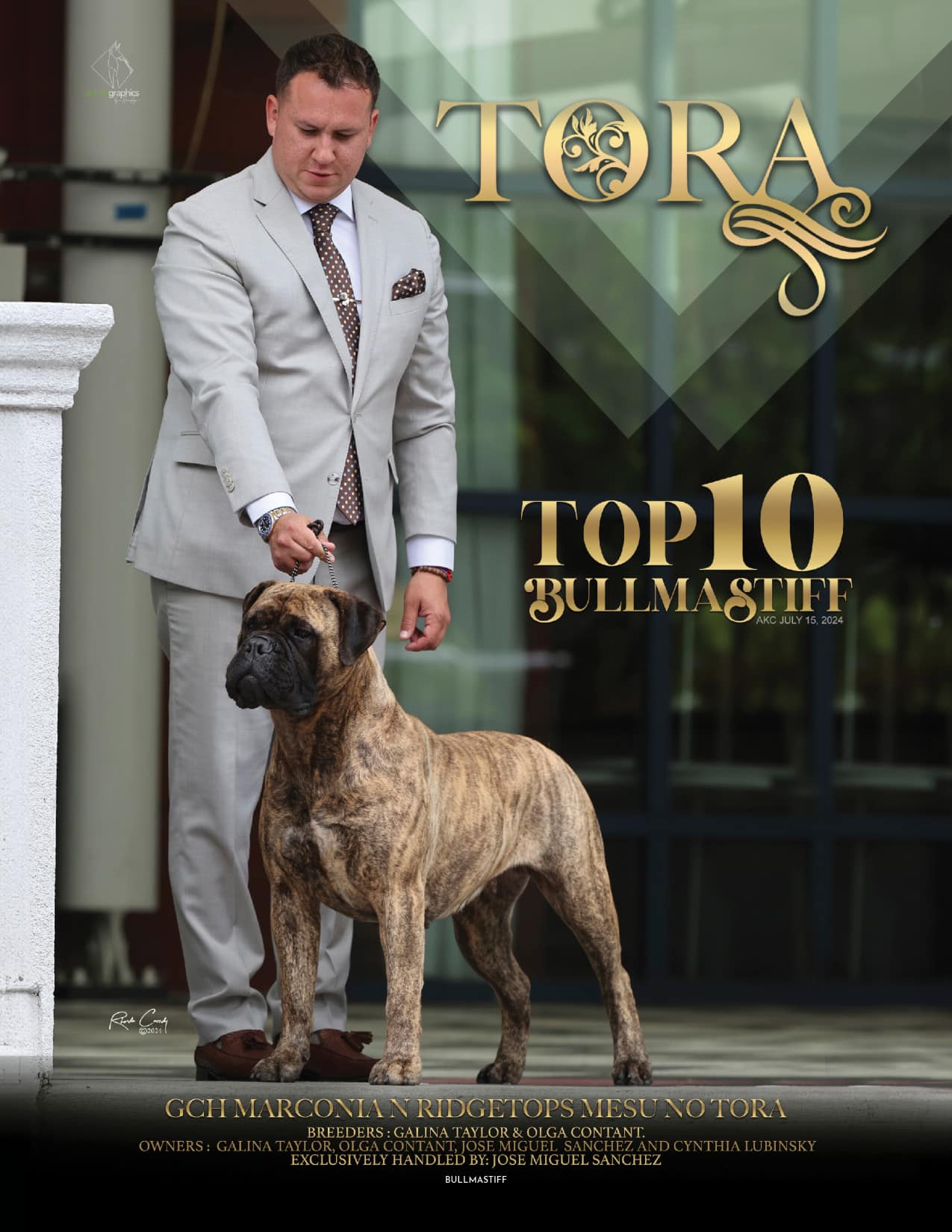 Showsight Magazine Dog Shows & Show Dogs News & Info