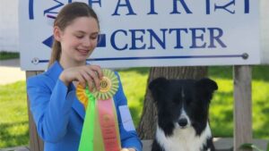 Border Collie