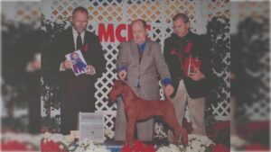 John Childers going Winners Dog at Montgomery 1999 with Ch. Baystone Firehawk. Bobby Fisher is the Judge and ITCA President Bruce Petersen is presenting.