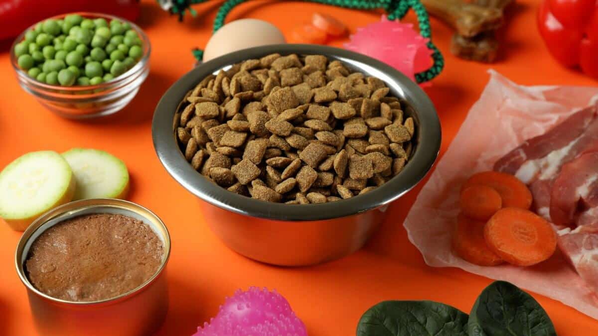 Concept of organic pet food on orange background