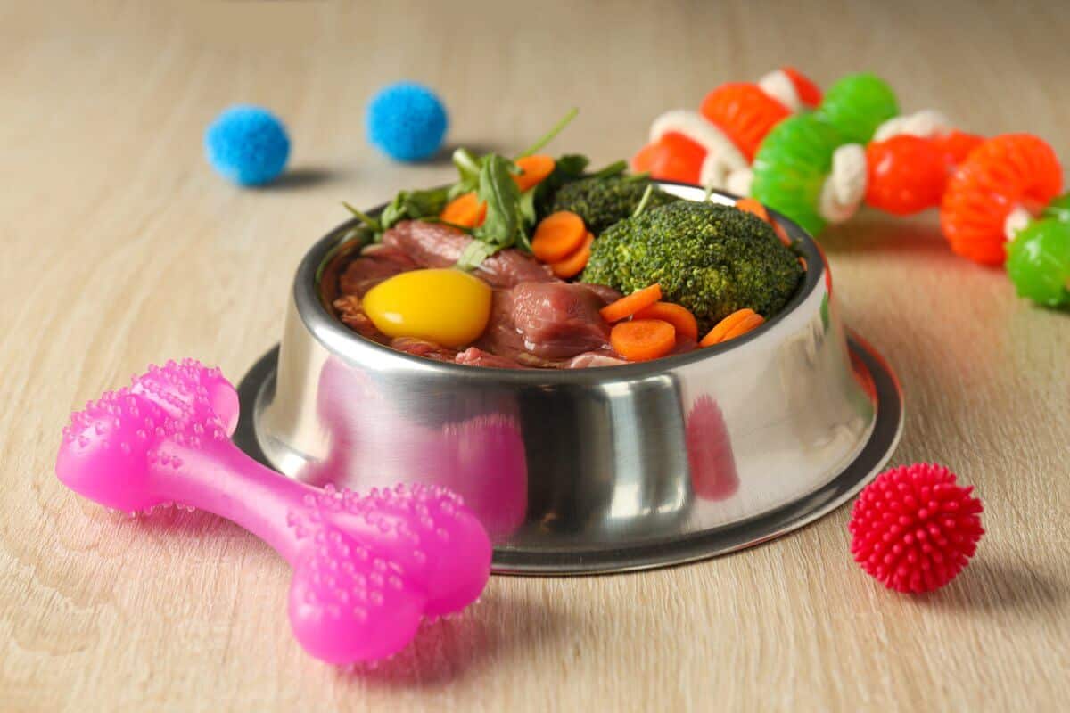 Tasty and delicious food for pets