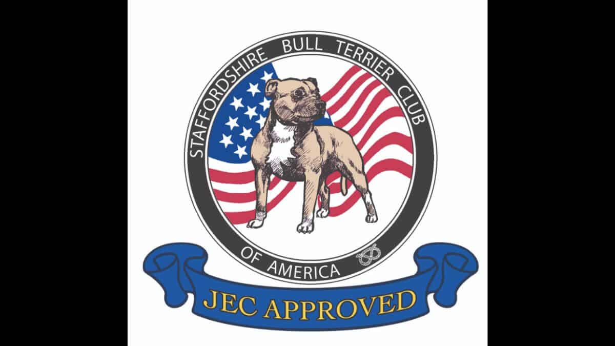 The Staffordshire Bull Terrier Club of America