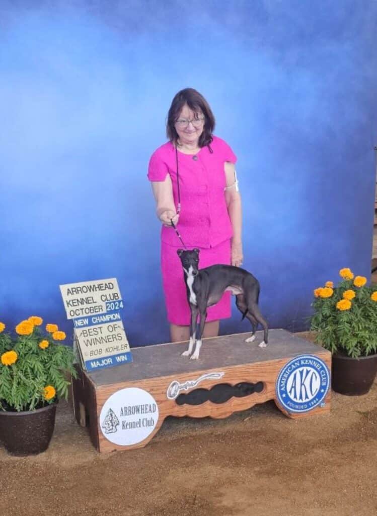 Arrowhead Kennel Club 2024 Dog Show