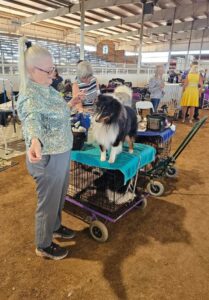 Arrowhead Kennel Club 2024 Dog Show