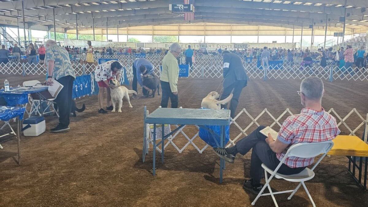 Arrowhead Kennel Club 2024 Dog Show