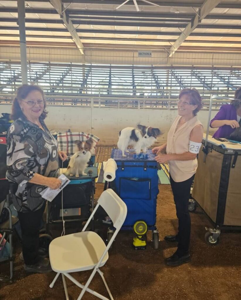 Arrowhead Kennel Club 2024 Dog Show