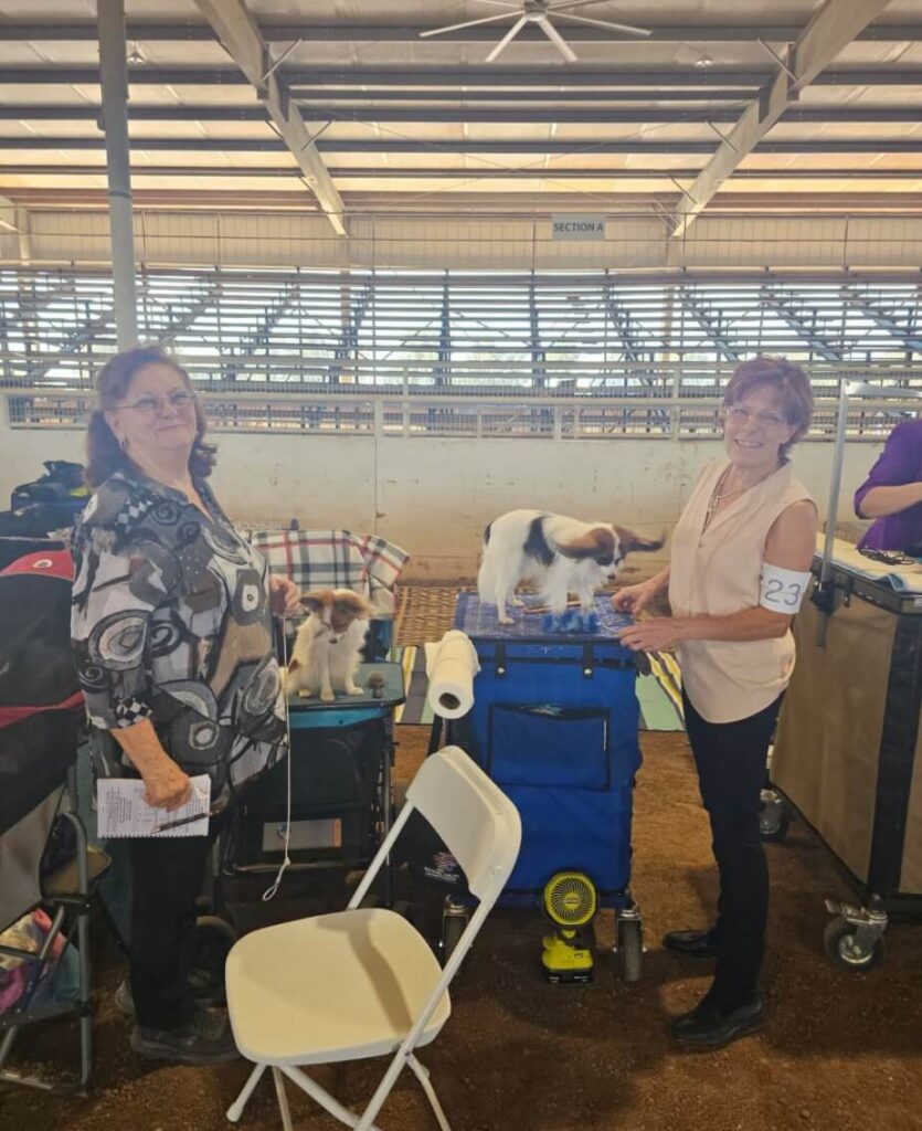 Arrowhead Kennel Club 2024 Dog Show