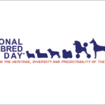 National Purebred Dog Day’s Fine Art/Poster 2025 Competition