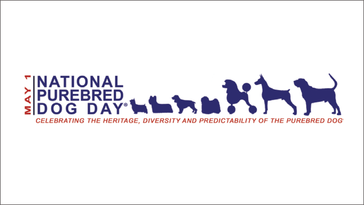 National Purebred Dog Day’s Fine Art/Poster 2025 Competition