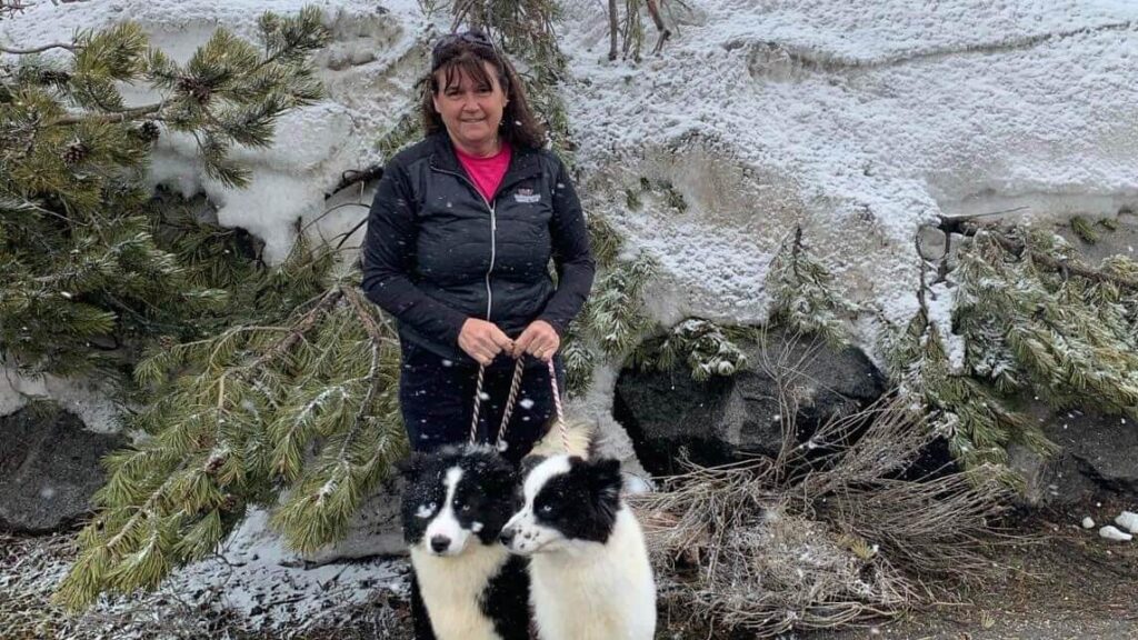 Carrie Smith | NorthStar Siberian Huskies & Yakutian Laikas