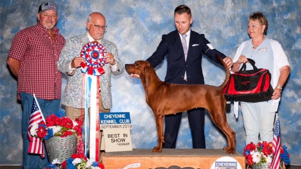 Cole Vanover | Lost Heritage Hounds