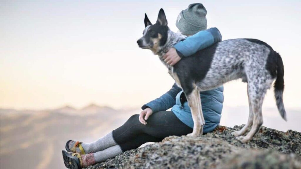 Australian Cattle Dog and a girl sitting on a mountain peak.