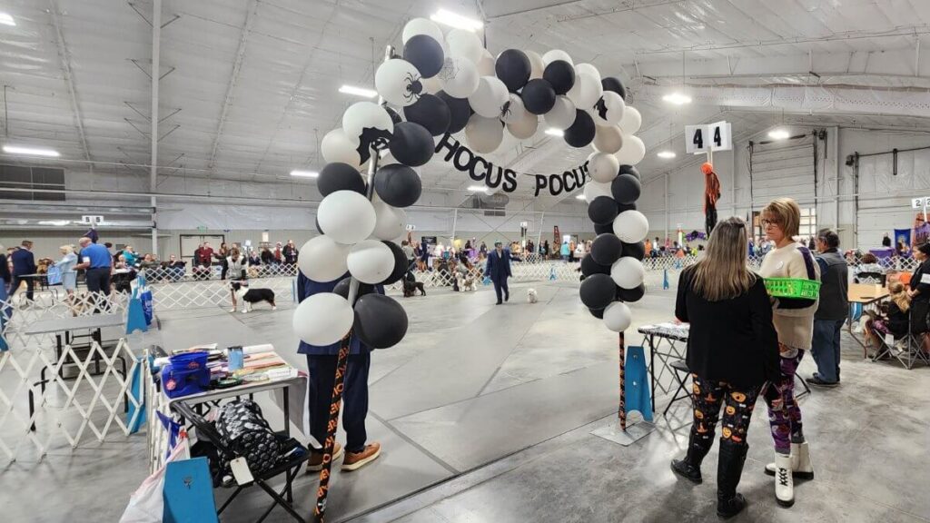 Colorado Springs Kennel Club 2024 Halloween Dog Show