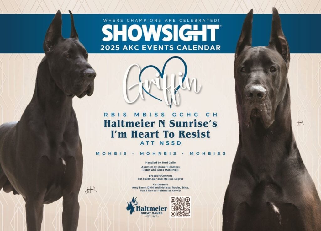 showsight magazine