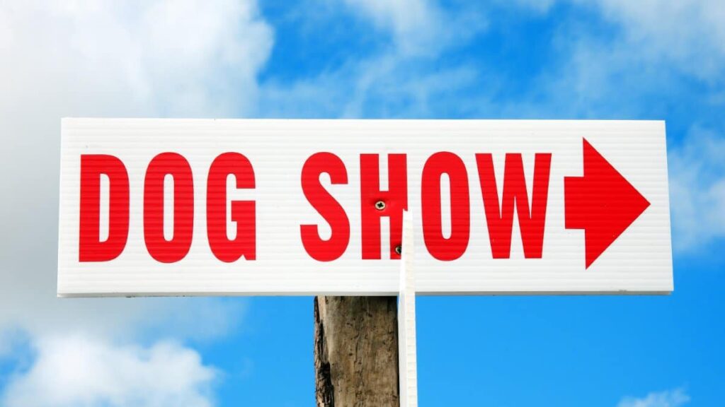 Dog show sign. Dog show red and white arrow sign directing visitors to an outdoor event