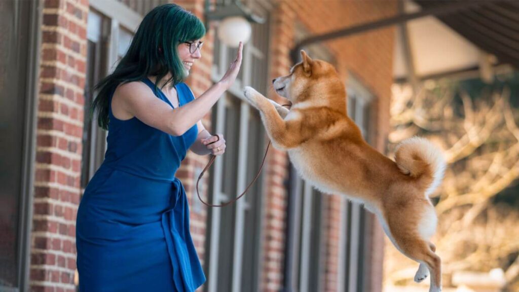 Piper Leiper and Shiba Inu
