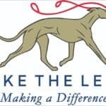 Take The Lead Making a Difference banner logo