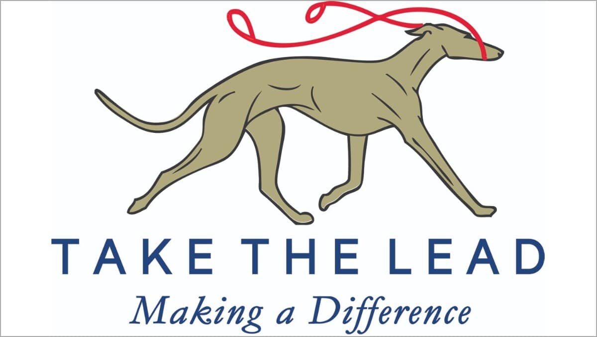 Take The Lead Making a Difference banner logo