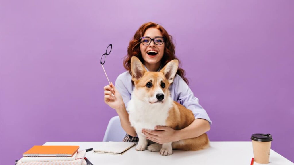 Smiling woman in blue shirt and eyeglasses plays with corgi.