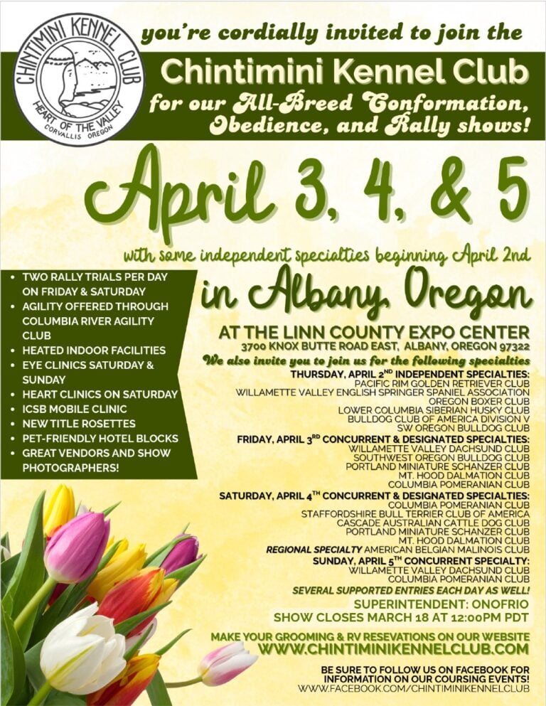 Chintimini Kennel Club