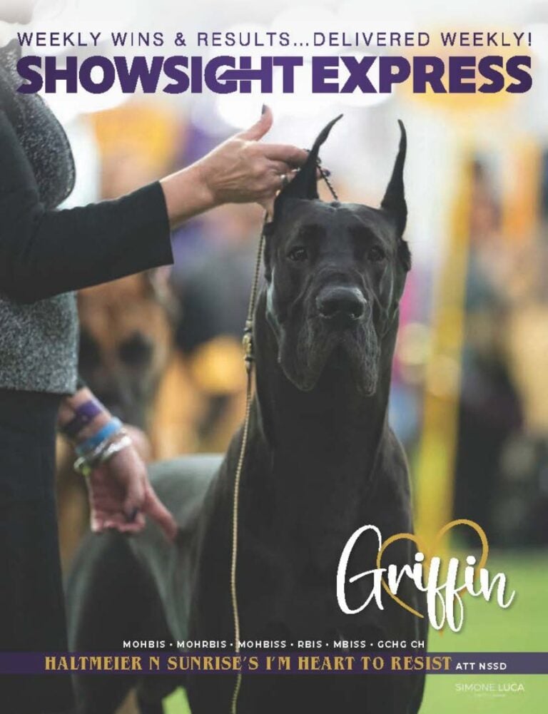 Dreyer Express FC[6]