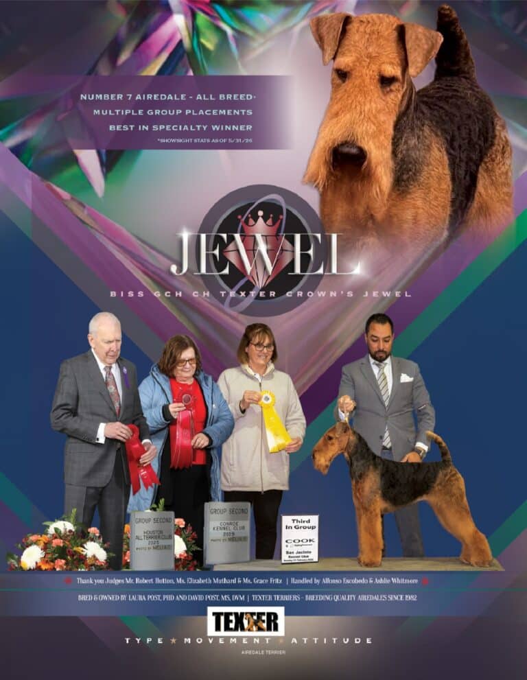 Post Jewel