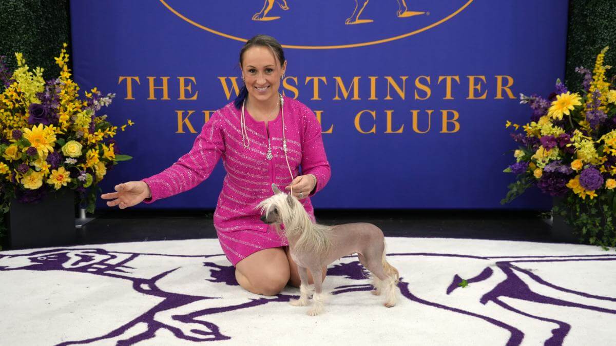 Derien Pratt and Nessa at the 2025 Westminster Kennel Club Dog Show. photo by Pam Loeb