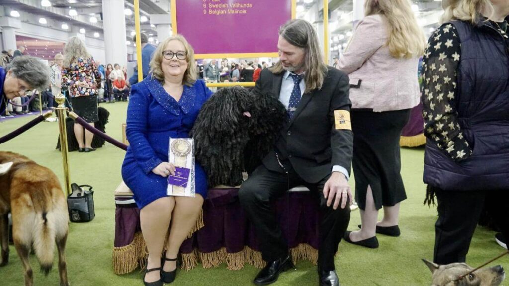 Becky Griffin with "Danny," GCH Rackaorzo Dandar, who won an Award of Merit, imported from Hungary, bred by Viktor Brauswetter DVM, and co-owned with Sherry Gibson; and Scott Griffin with "Bella," GCH Bowmaker Here Comes Trouble FCAT 2, bred by Sherry Gibson, ringside after Pulik judging. photo by Margaret Foxmoore