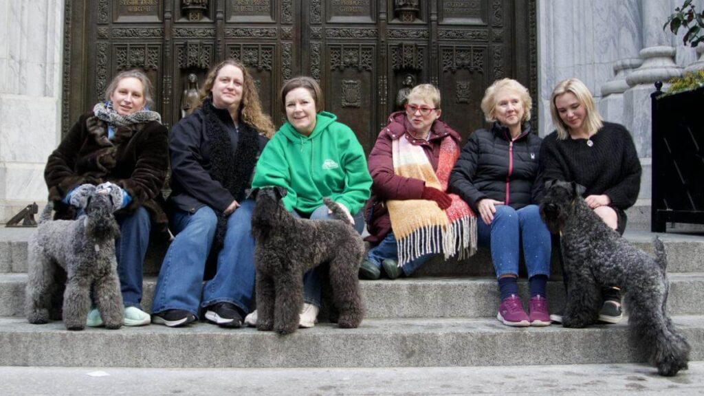 A Kerry Blue Terrier Tale of Friendship and Triumph