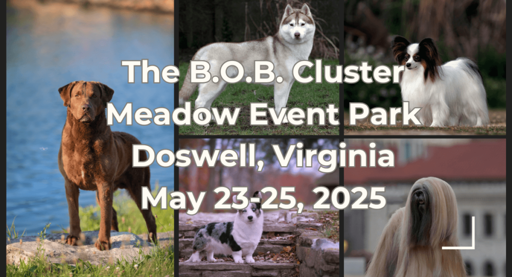 The B.O.B. Cluster: Premiere Stand-Alone Group Cluster