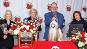 Progressive Dog Club 99th Show - ‘Comet’ & Luke Ehricht - Best in Show