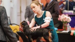 Taylor Stone - Best Junior Handler - Progressive Dog Club 99th & 100th Shows