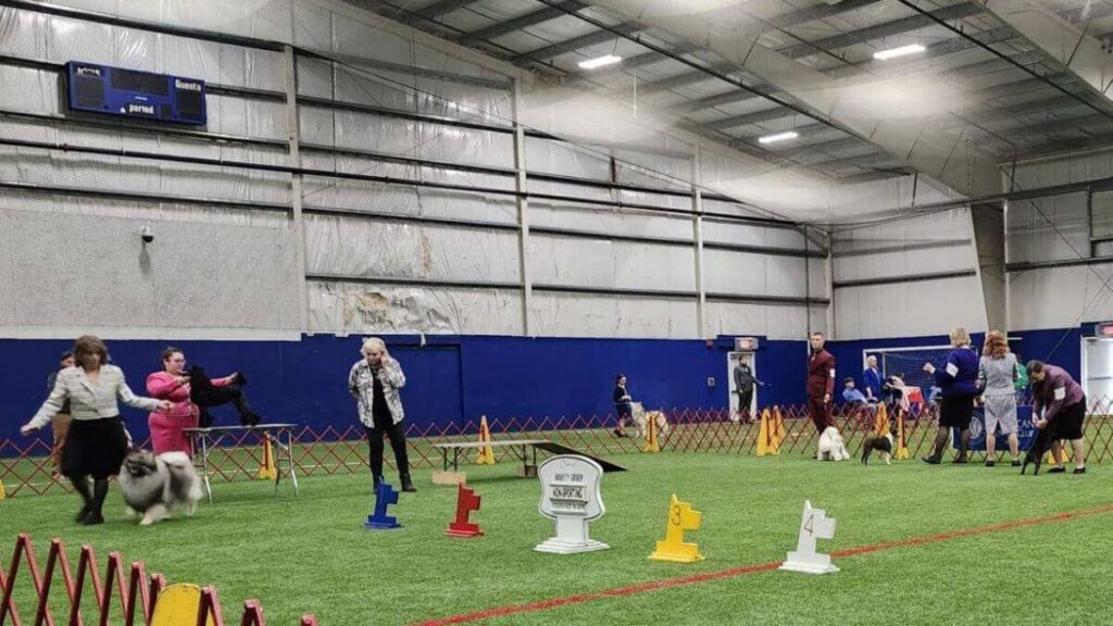 Rhode Island Kennel Club Dog Show | North Kingstown, RI