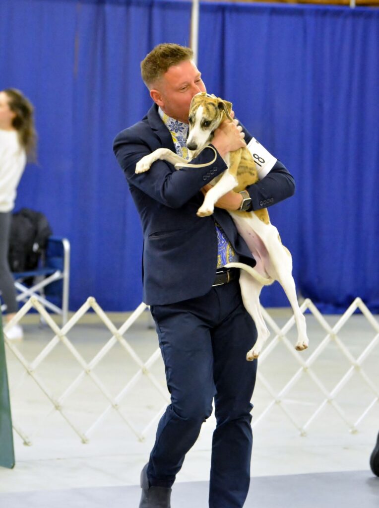 2025 Nutmeg Cluster Dog Shows