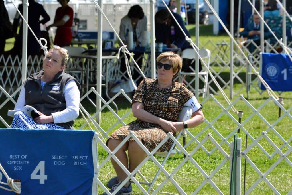 2025 Nutmeg Cluster Dog Shows