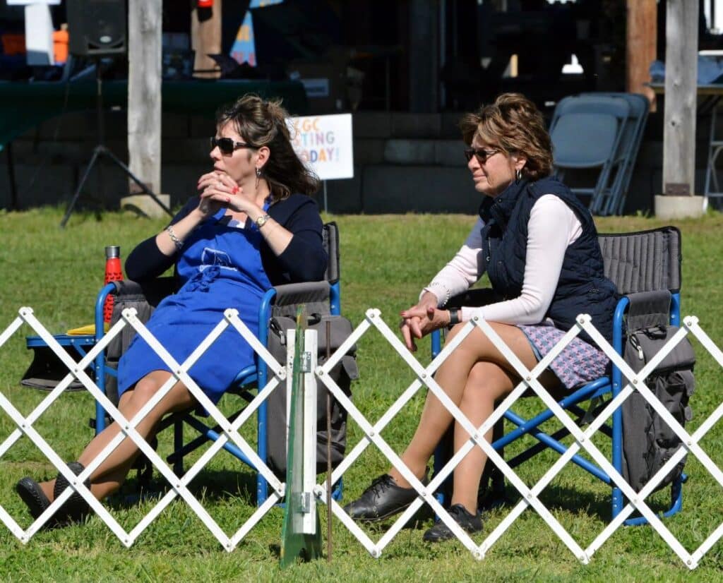 2025 Nutmeg Cluster Dog Shows