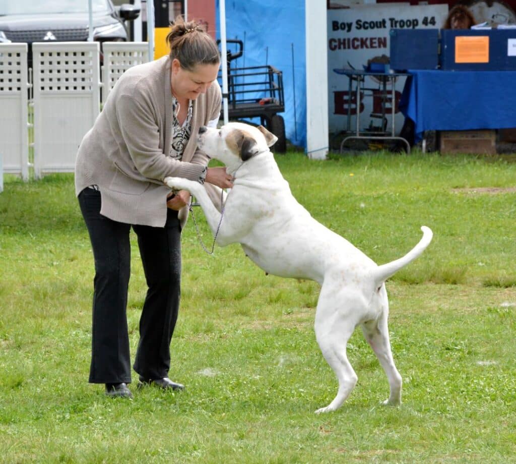 2025 Nutmeg Cluster Dog Shows